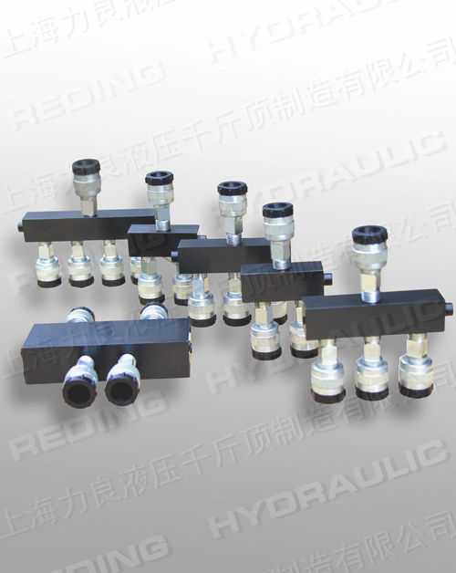 FLϵ�з�����